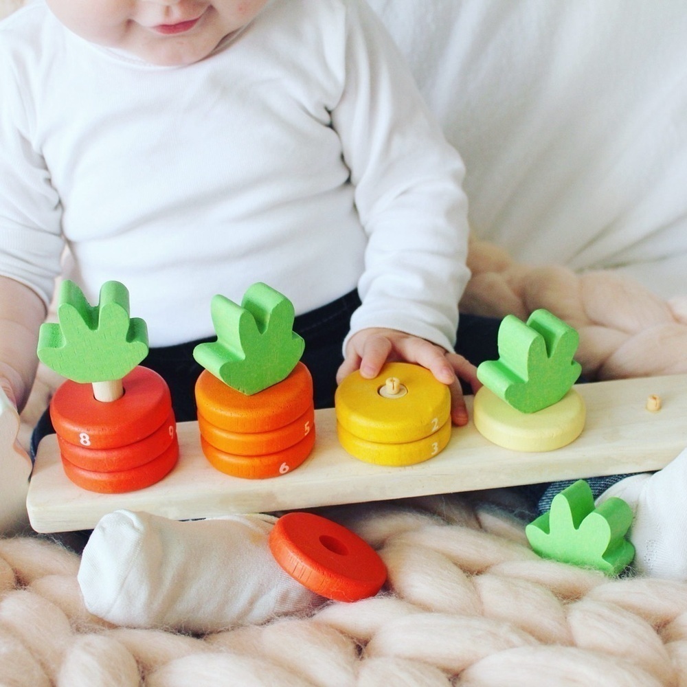 Tender Leaf Toys - Counting Carrots - Picture 4 of 16